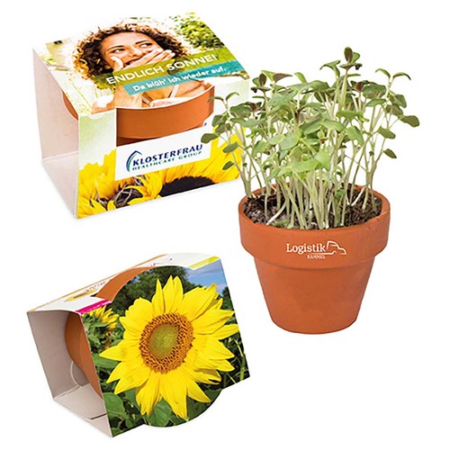 Mini pot terre cuite, fourreau complet - Tournesol