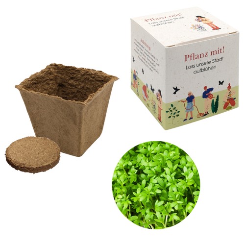 Cube-plantset (groot) - Kers