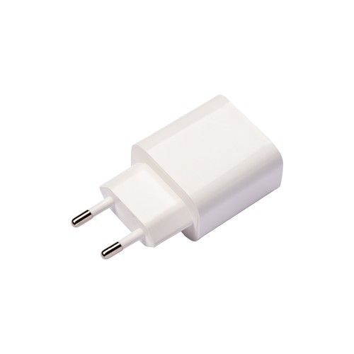 ABS USB wall charger with 1 USB A port and 1 USB-C port. With 2-pin European plug