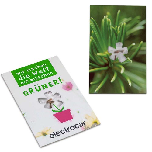 Carte avec graines-mini fleur - Epicèa Carte avec graines-mini fleur - Epicèa