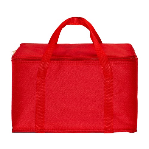 Cooler bag with silver interior