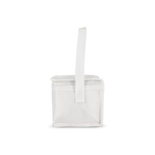 R-PET 6 Sac isotherme non tissé 20x 13 x 12.5cm 75g/m²