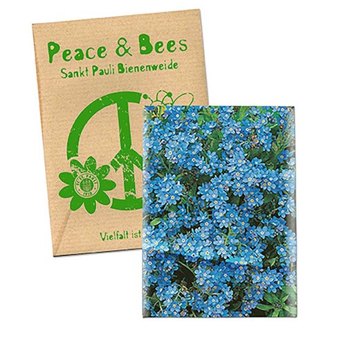 Zaadzakjes standaard papier - Soda kraftpapier - Vergeetmenietjes Zaadzakjes standaard papier - Soda kraftpapier - Vergeetmenietjes