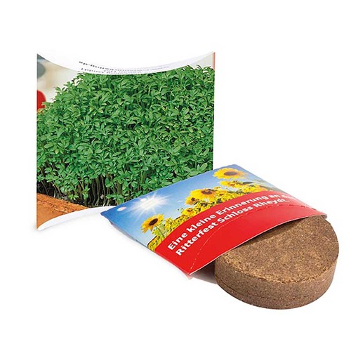 erbe aromatiche erbe aromatiche