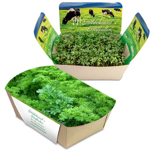 erbe aromatiche erbe aromatiche