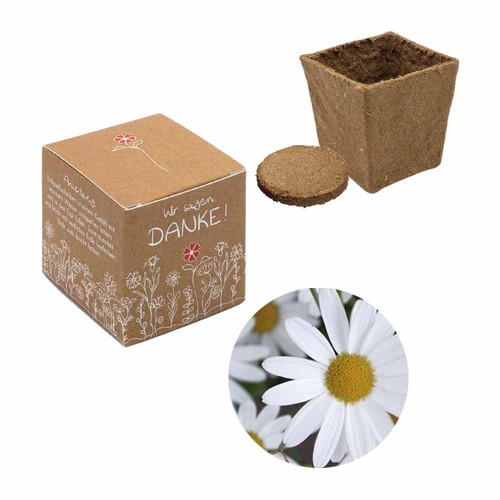 Cube-plantset (klein) - Margriet Cube-plantset (klein) - Margriet