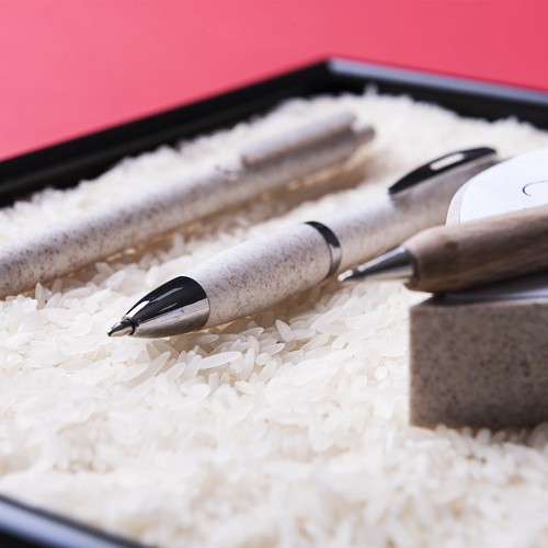 Pen Prodox