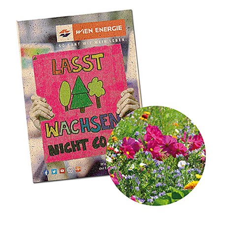 Zaadzakjes standaard papier - Graspapier - Zomerbloemen mix