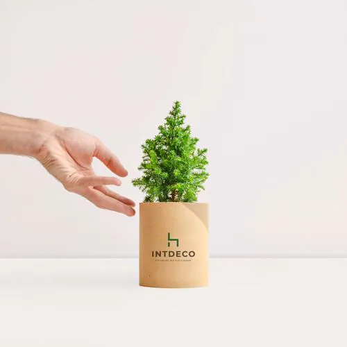 TREETUBE albero/arbusto