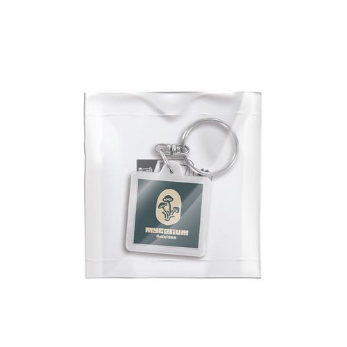 sleutelhanger sleutelhanger