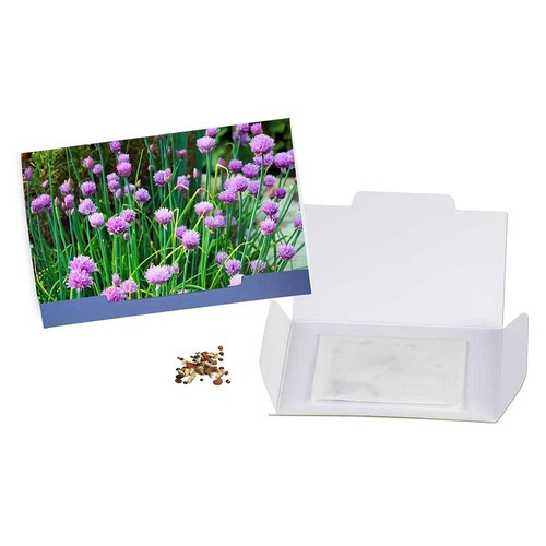 Bloemenkaar met zaden - bieslook