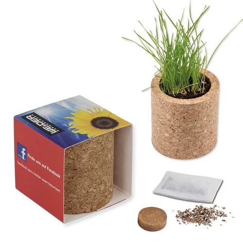 erbe aromatiche