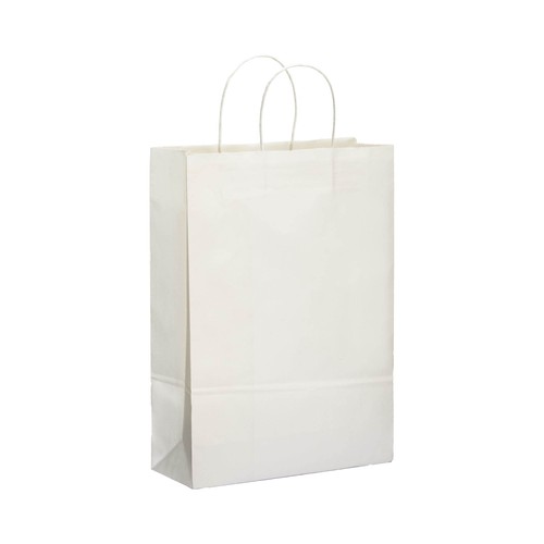 100 gr/m2 paper shopping bag with guesset 100 gr/m2 paper shopping bag with guesset