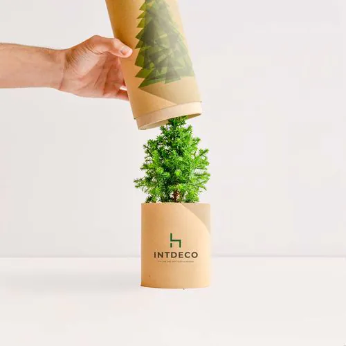 TREETUBE albero/arbusto TREETUBE albero/arbusto