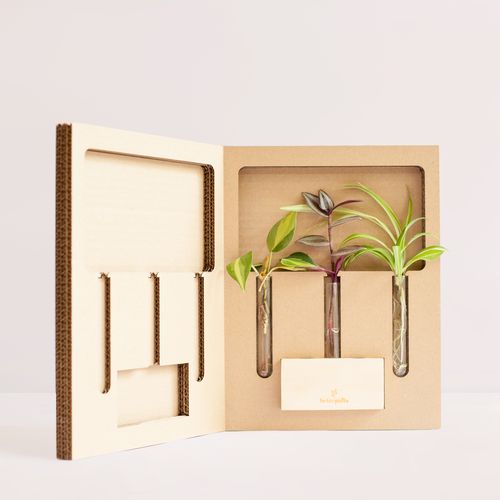 El Propagador El Propagador