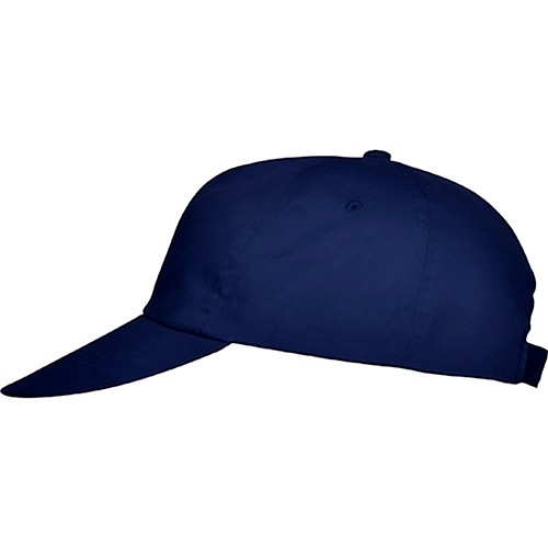 5 panels cap. BASICA