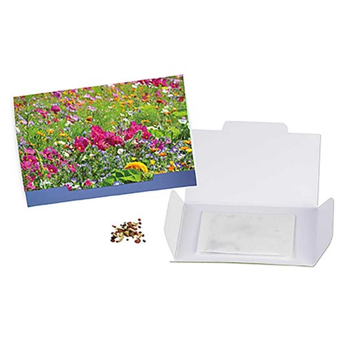 Flower-card with seeds - Summerflowers mix