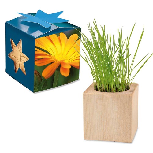 cubo publicitario