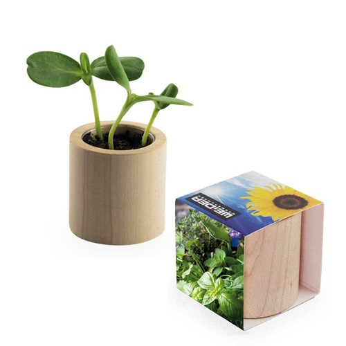 Pot rond en bois avec graines - Mélange d'herbes aromatiques
