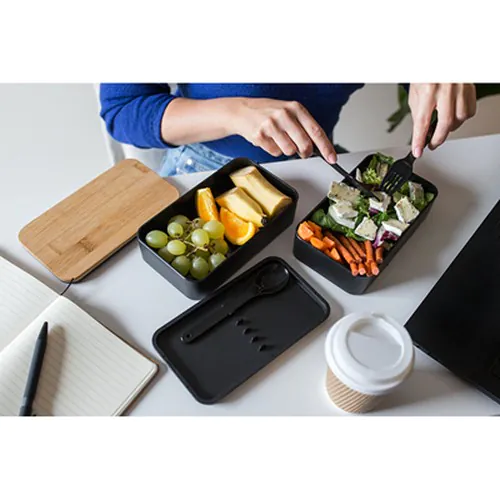 contenitore per il pranzo contenitore per il pranzo