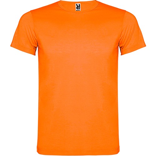 Camiseta manga corta AKITA
