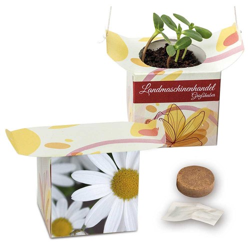 Pot suspendu - Marguerite