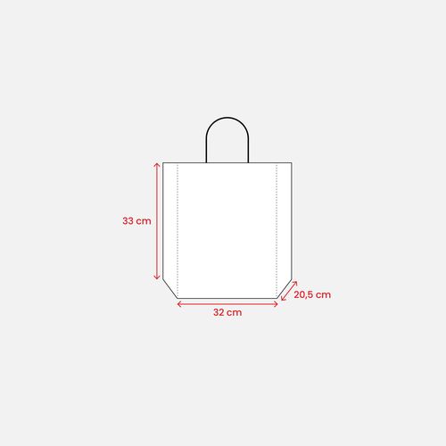 100 gr/m2 paper shopping bag with guesset 100 gr/m2 paper shopping bag with guesset