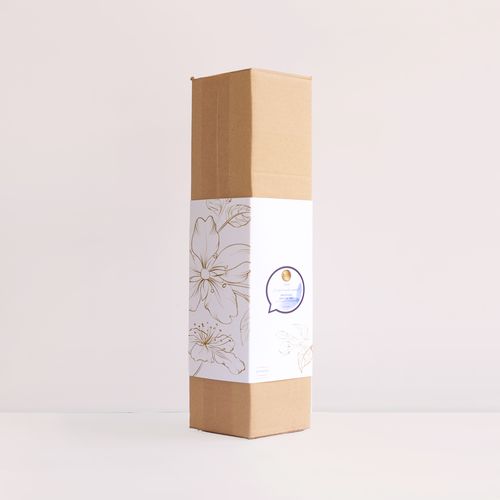 PLANT BOX PLANT BOX