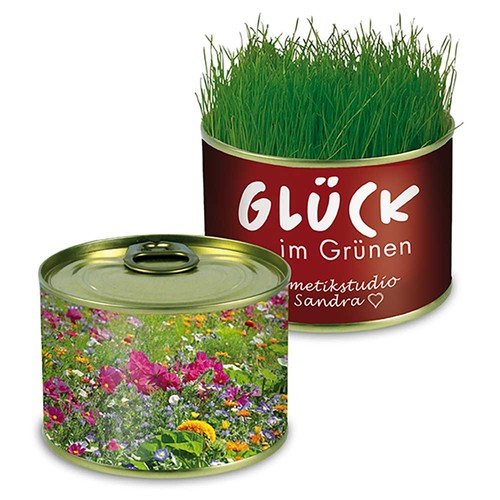 Boite de conserve Nature avec graines - Mélange de fleurs d'été