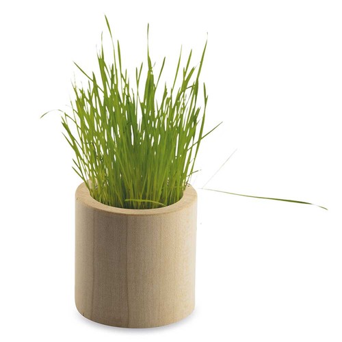 Houten plantenset rond met zaden - Goudsbloem
