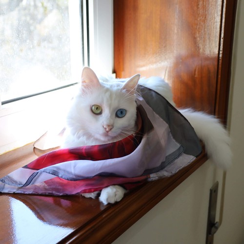 CUSTOMIZABLE SQUARE SCARF