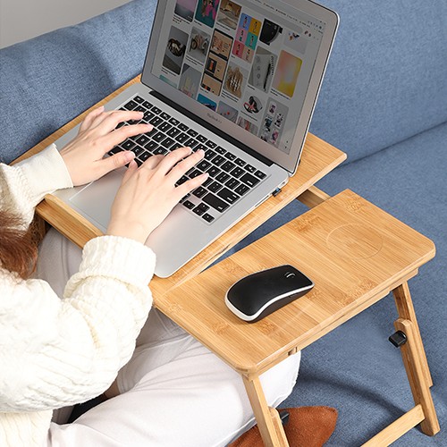 Tablet and laptop support Ginger