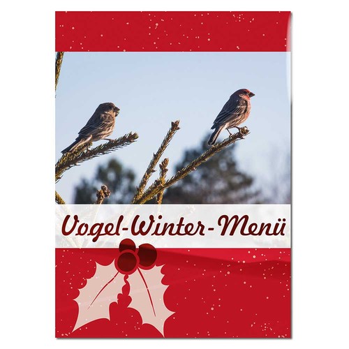 Graines pour oiseaux en sachet - la norme Graines pour oiseaux en sachet - la norme