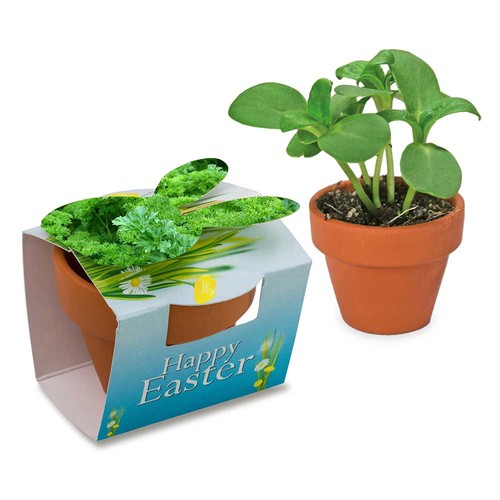 Mini lapin en pot avec graines - Persil Mini lapin en pot avec graines - Persil