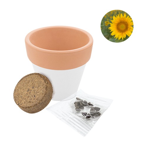Bicolored jar, supplied with cultivation substrate Gelso Bicolored jar, supplied with cultivation substrate Gelso