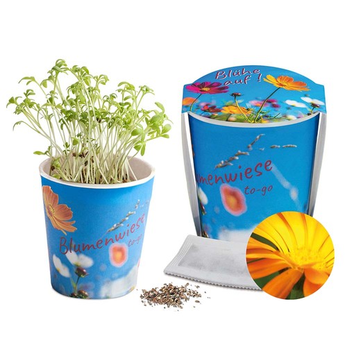 Flower meadow to-go - Calendula - neutral Flower meadow to-go - Calendula - neutral