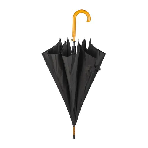 parasol parasol