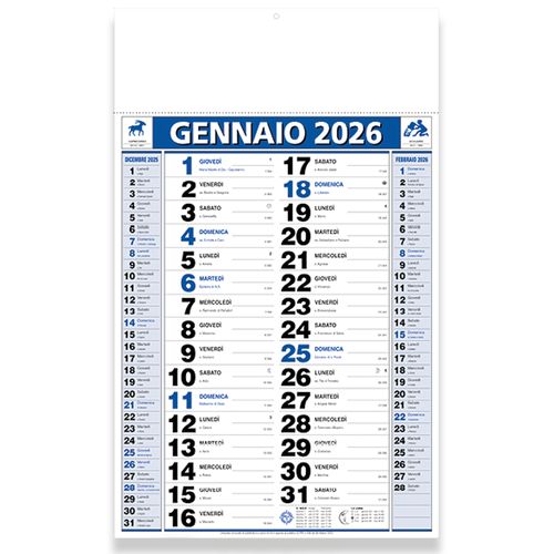 2026 Two-Colour Monthly Wall Calendar, 12 sheets, coated paper, heat-sealed