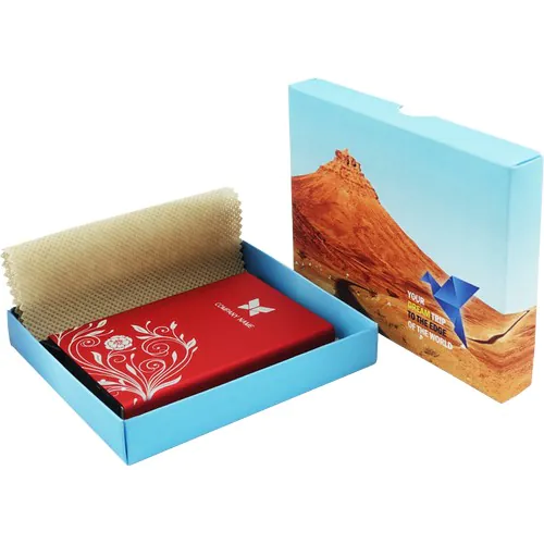 Boite (24x16,5x2,8cm) Boite (24x16,5x2,8cm)