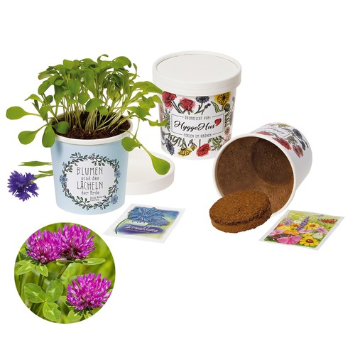 Cup Flower - zaadset - Rode klaver