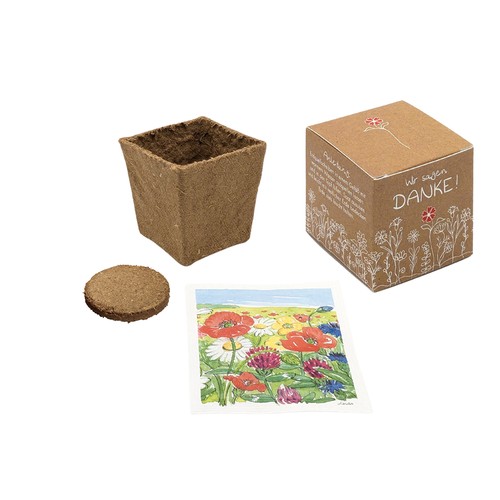 Cube-plantset (klein) - Zonnebloem Cube-plantset (klein) - Zonnebloem