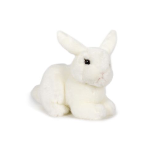 Peluche