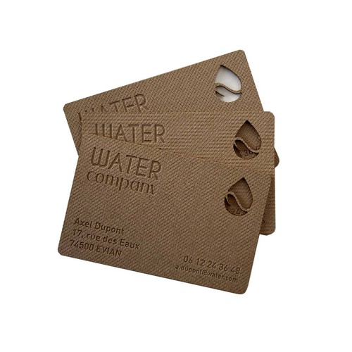 Carte de visite - France Carte de visite - France