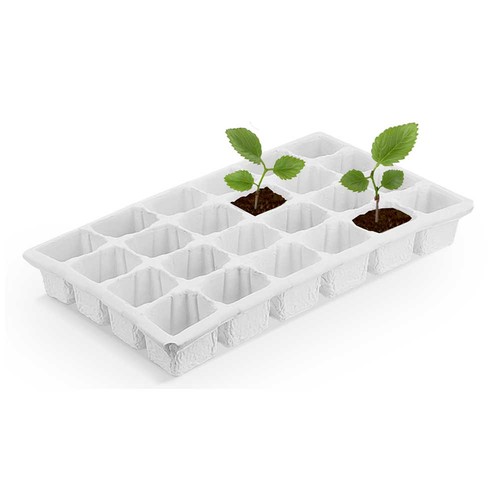 Growing Advent Calendar - with digital printing