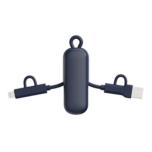 Câble 100W porte-clés 4-en-1 Urban Vitamin Dublin