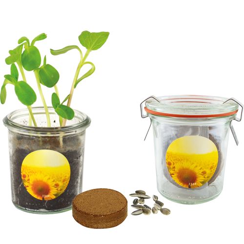 Mini Bocal Soleil