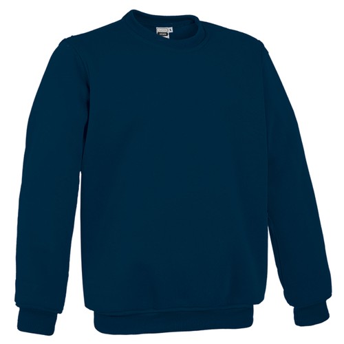bluza
