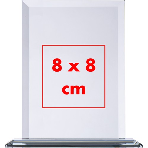 Gran trofeo en cristal.