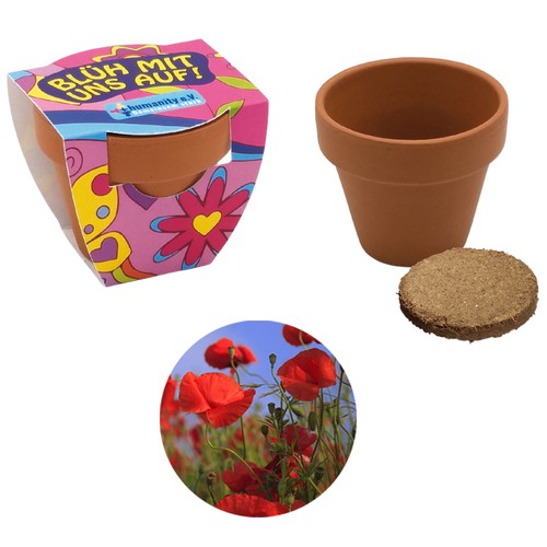 Small terracotta plant pots - Poppy