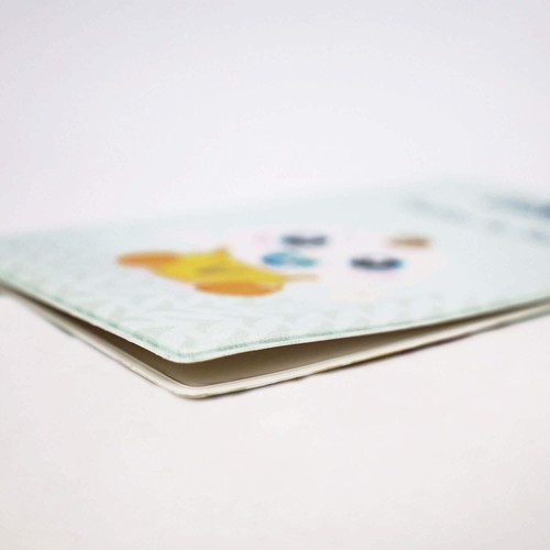 CUSTOMIZABLE VACCINE BULLETIN HOLDER C/MS